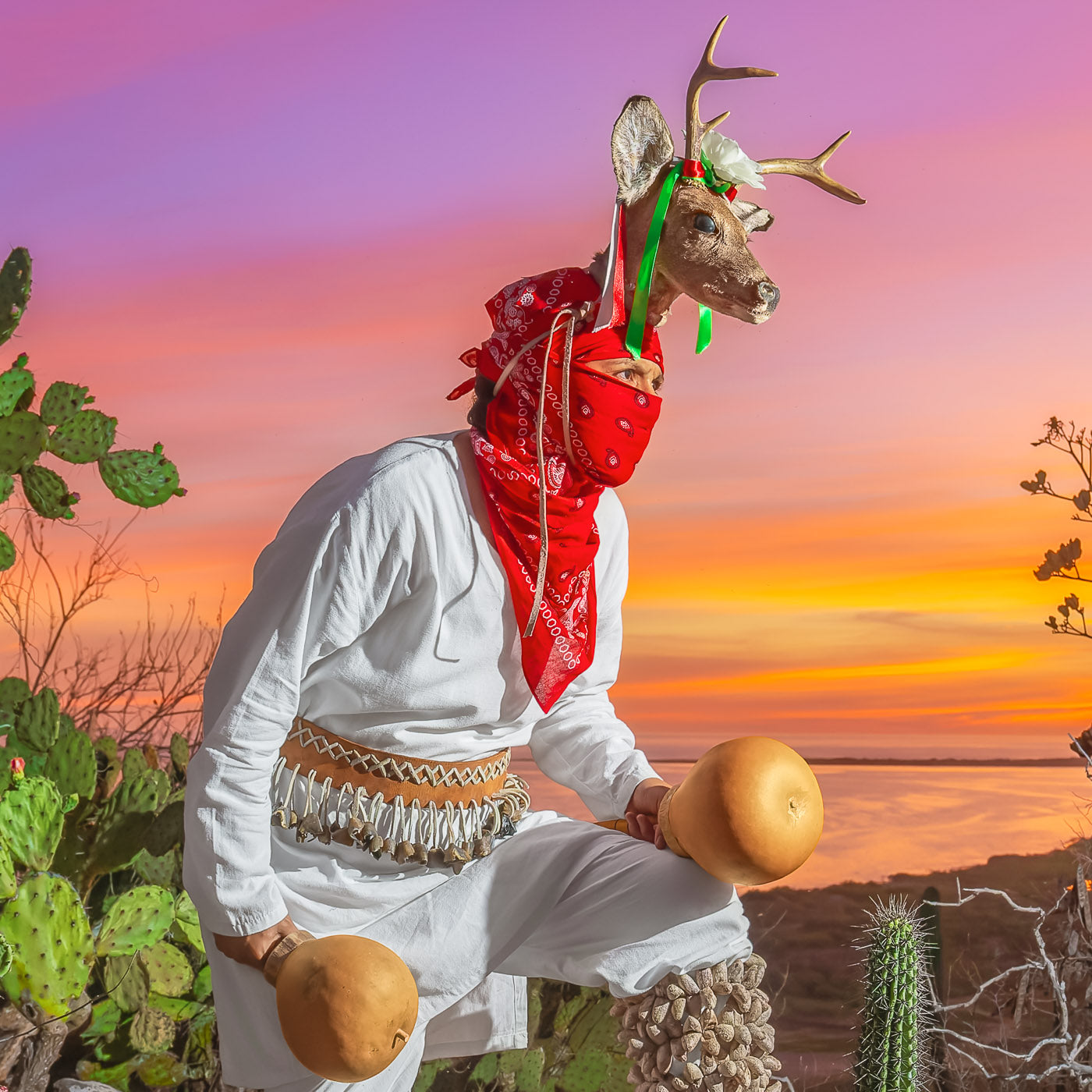 Danzante al atardecer con cabeza de venado, indumentaria blanca y ayales, entre nopales y cactus.